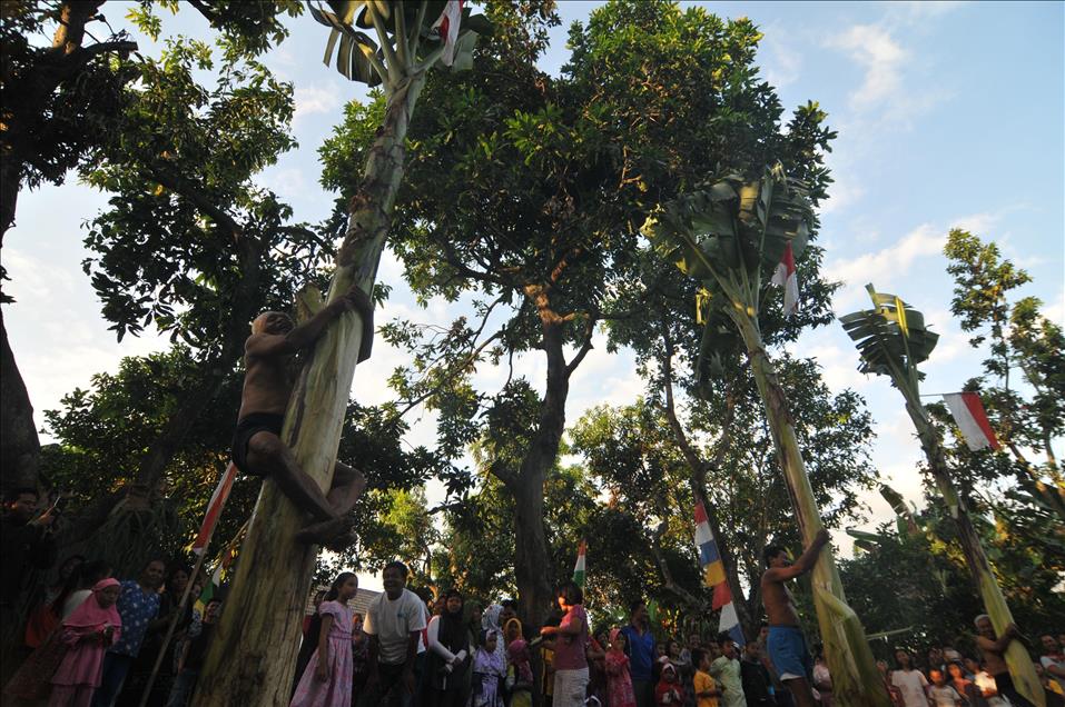Traditional banana trees climbing competition to mark Indonesia'