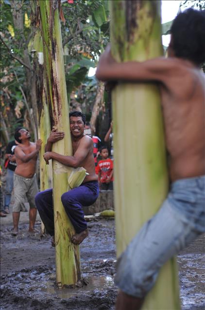 Traditional banana trees climbing competition to mark Indonesia'