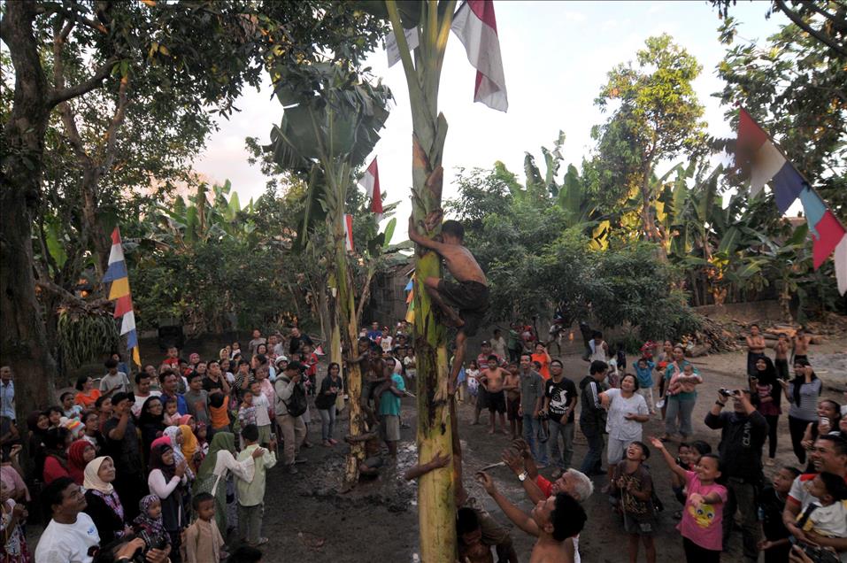 Traditional banana trees climbing competition to mark Indonesia'
