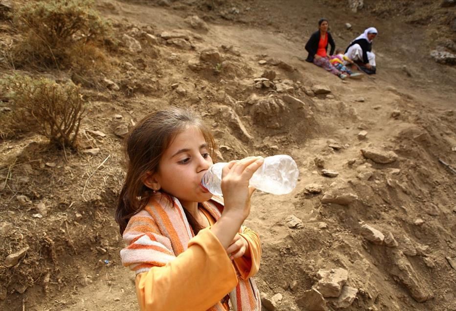 Yezidilerin umuda yolculuğu