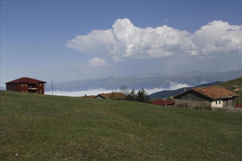 Sultan Murat Yaylası ziyaretcilerini büyülüyor