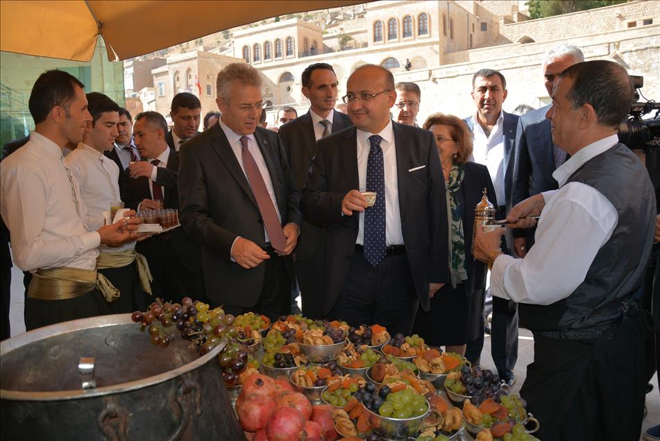 Başbakan Yardımcısı Akdoğan, Mardin'de