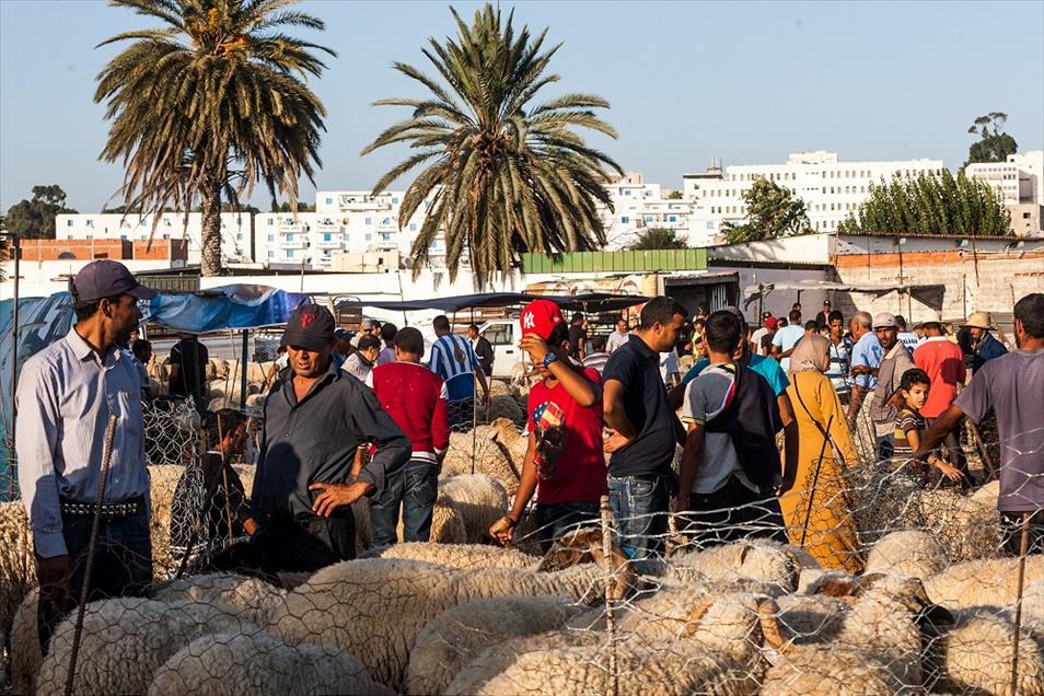 Tunus'ta Kurban Bayramı hazırlıkları