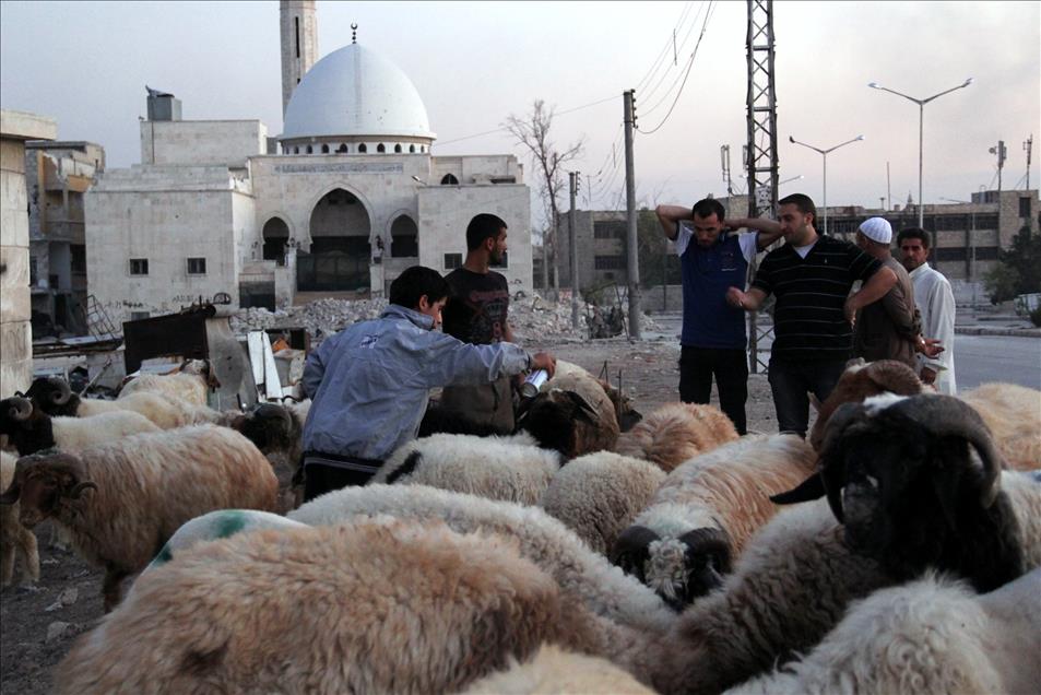 Eid al-Adha preparations in Syria