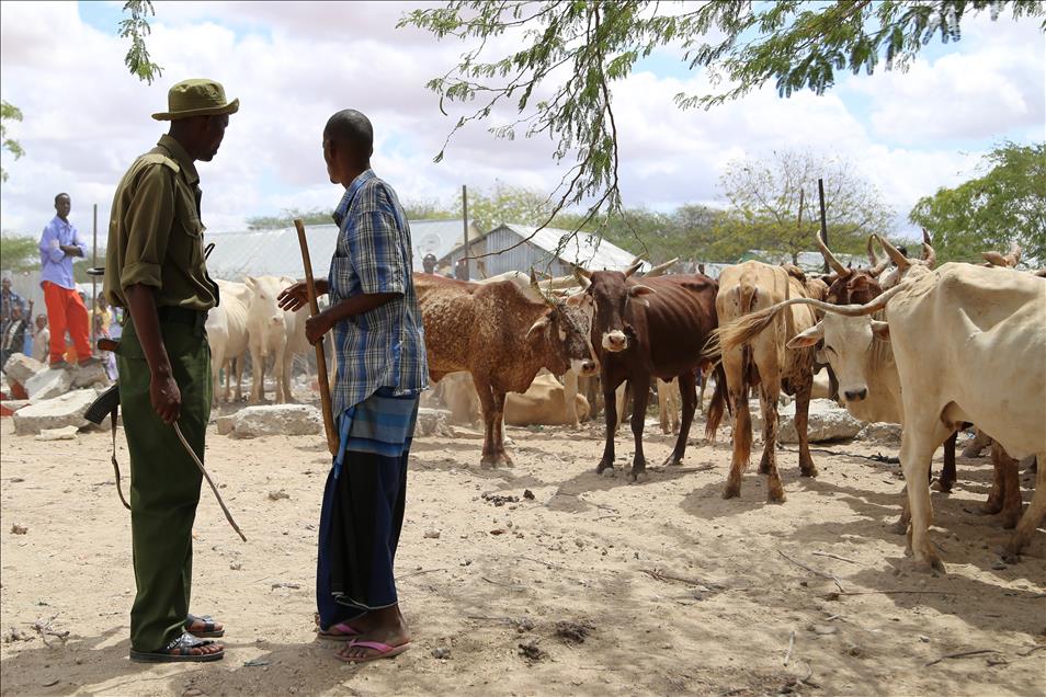 Kenya'da Kurban Bayramı
