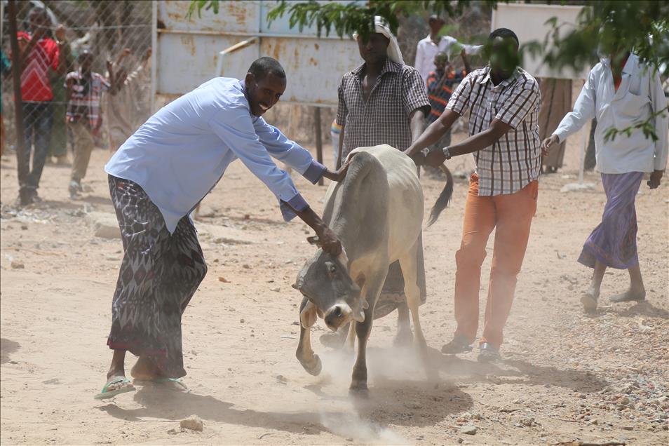 Kenya'da Kurban Bayramı