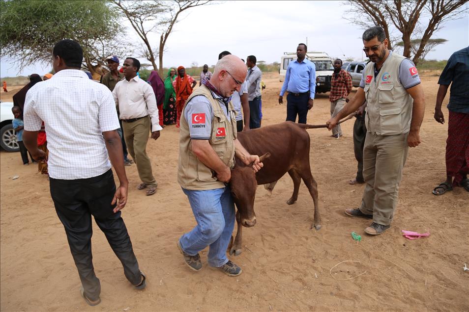 Kenya'da 30 bin kişiye kurban eti dağıtıldı