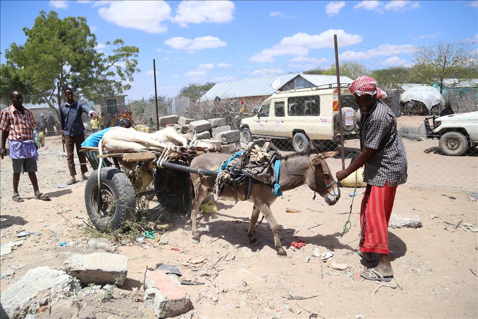 Kenya'da Kurban Bayramı