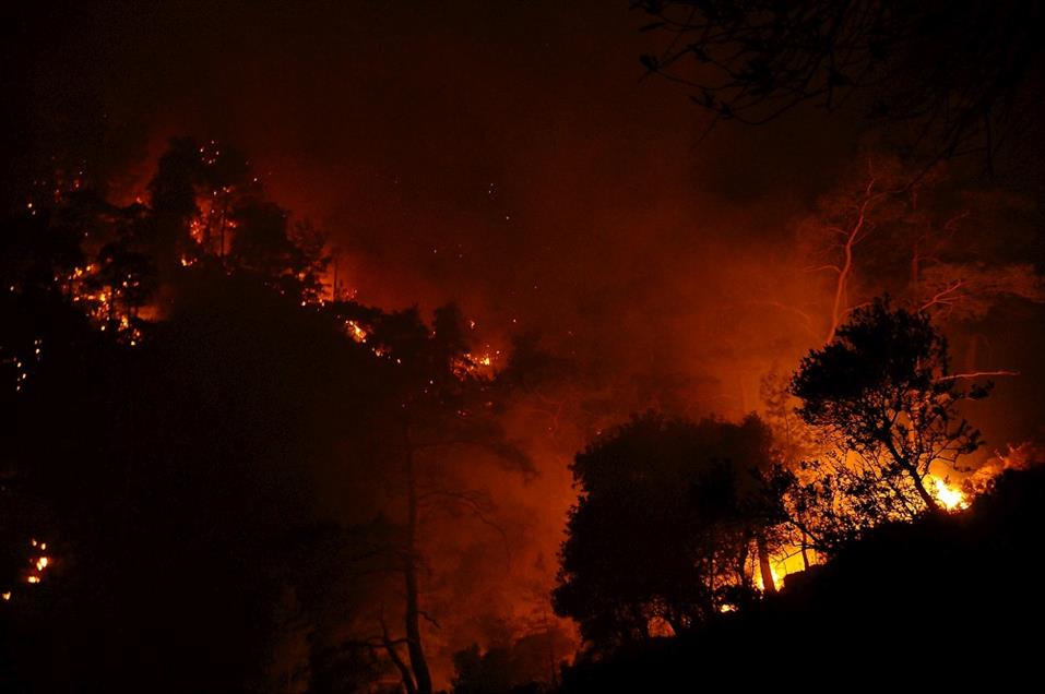Marmaris'teki orman yangını