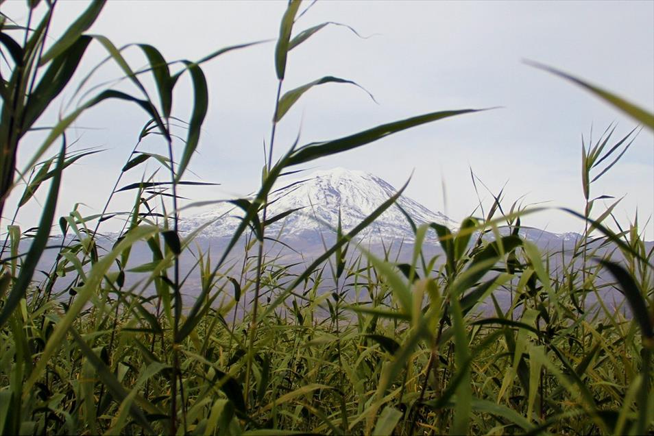 Ağrı Dağı'na kar yağdı