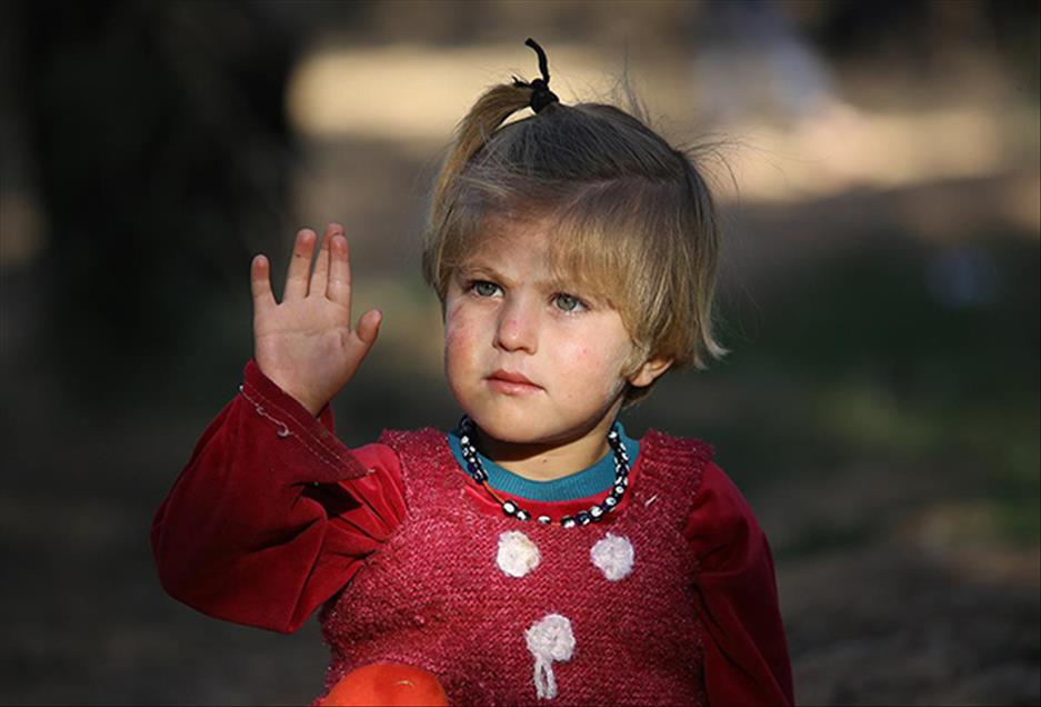 منداڵانی کۆبانێ گۆرانی خۆشەویستی بۆ لانەکانیان دەچڕن