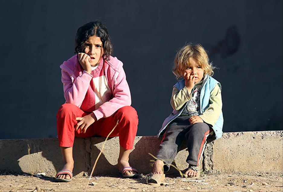 منداڵانی کۆبانێ گۆرانی خۆشەویستی بۆ لانەکانیان دەچڕن