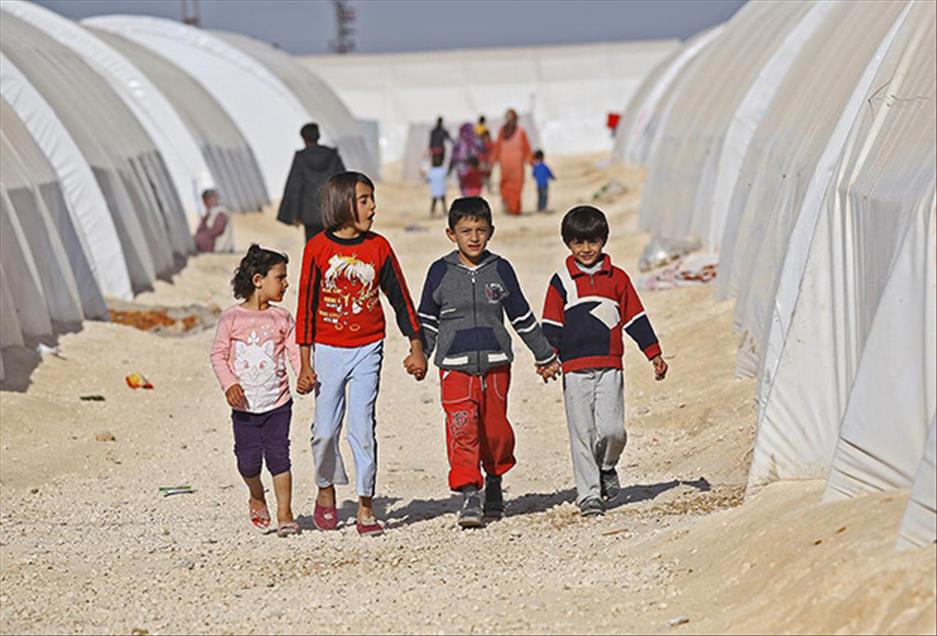 منداڵانی کۆبانێ گۆرانی خۆشەویستی بۆ لانەکانیان دەچڕن