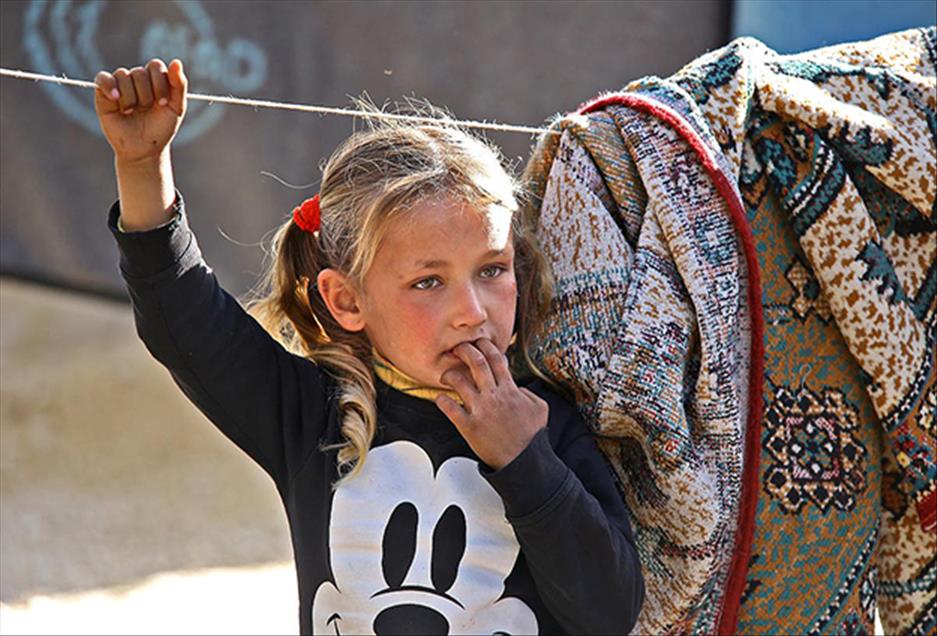 منداڵانی کۆبانێ گۆرانی خۆشەویستی بۆ لانەکانیان دەچڕن