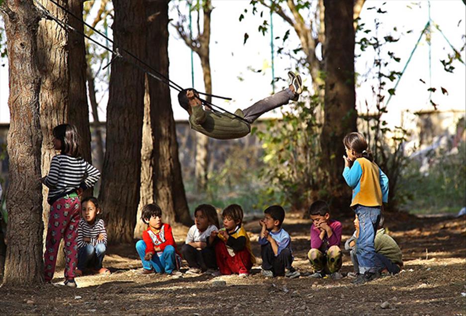 منداڵانی کۆبانێ گۆرانی خۆشەویستی بۆ لانەکانیان دەچڕن