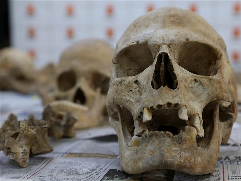 Anadolu'nun "kemik koleksiyonu" tarihe ışık tutuyor