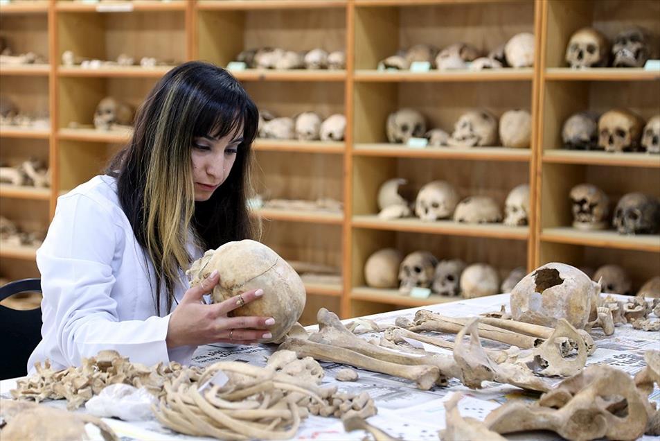Anadolu'nun "kemik koleksiyonu" tarihe ışık tutuyor