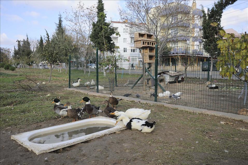 Hayvanat bahçesi gibi taksi durağı