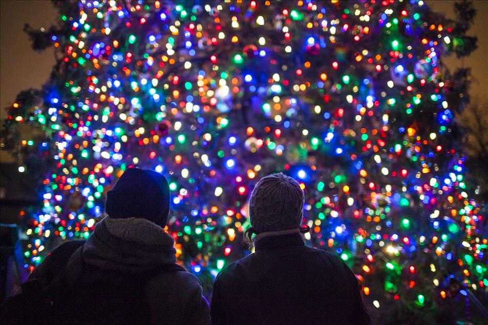 Capitol Hill Christmas Tree Lighting Ceremony