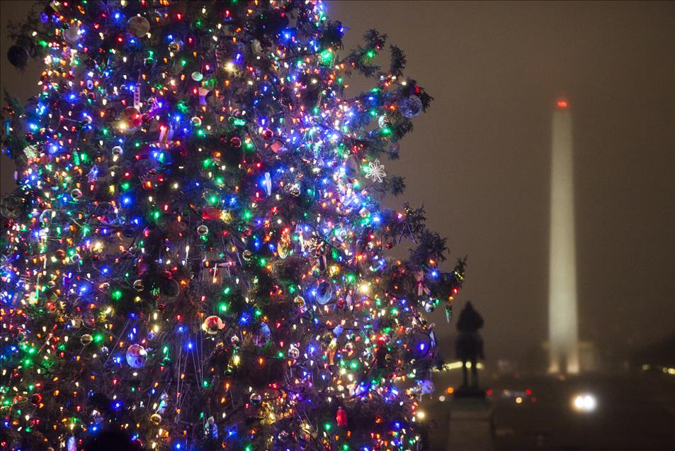 Capitol Hill Christmas Tree Lighting Ceremony