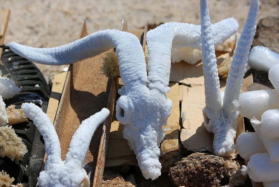 Cibuti'nin "Beyaz elması" Asal Gölü