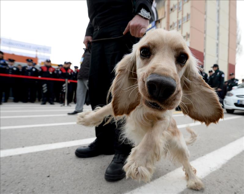 Polis Akademisi Narkotim Projesi açılışı