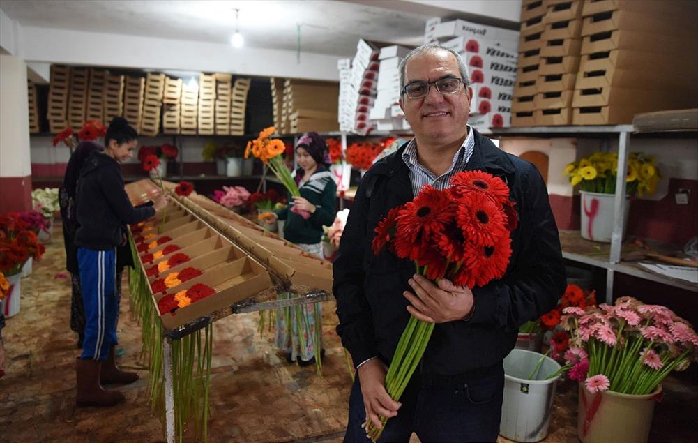 Dünya yeni yıla Türk çiçekleri ile girecek