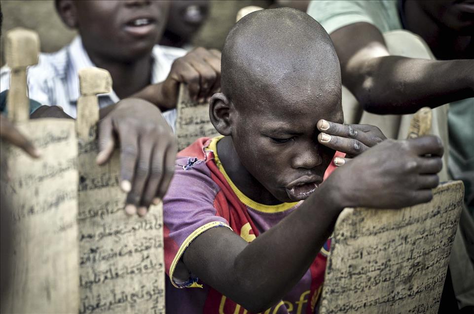 Anadolu Ajansı Gözüyle 2014