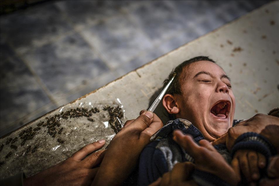 Anadolu Ajansı Gözüyle 2014