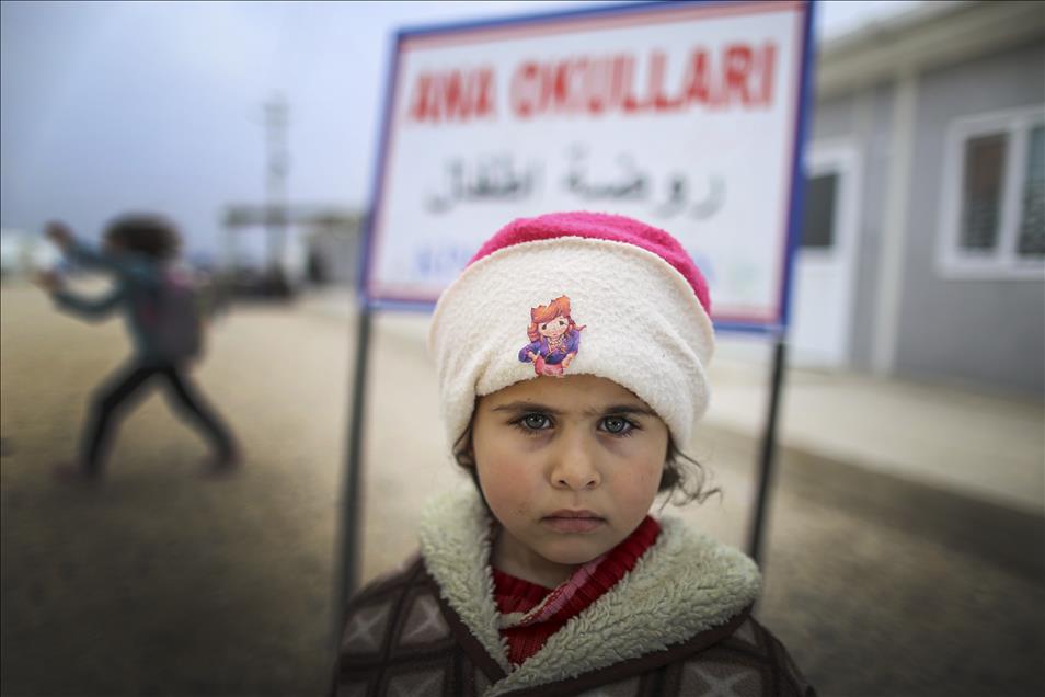 Anadolu Ajansı Gözüyle 2014