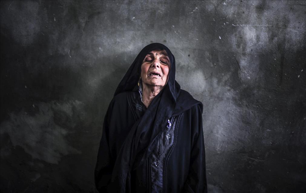 Anadolu Ajansı Gözüyle 2014