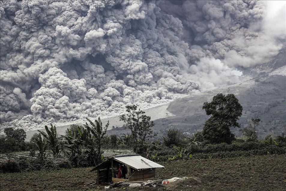 Anadolu Ajansı Gözüyle 2014