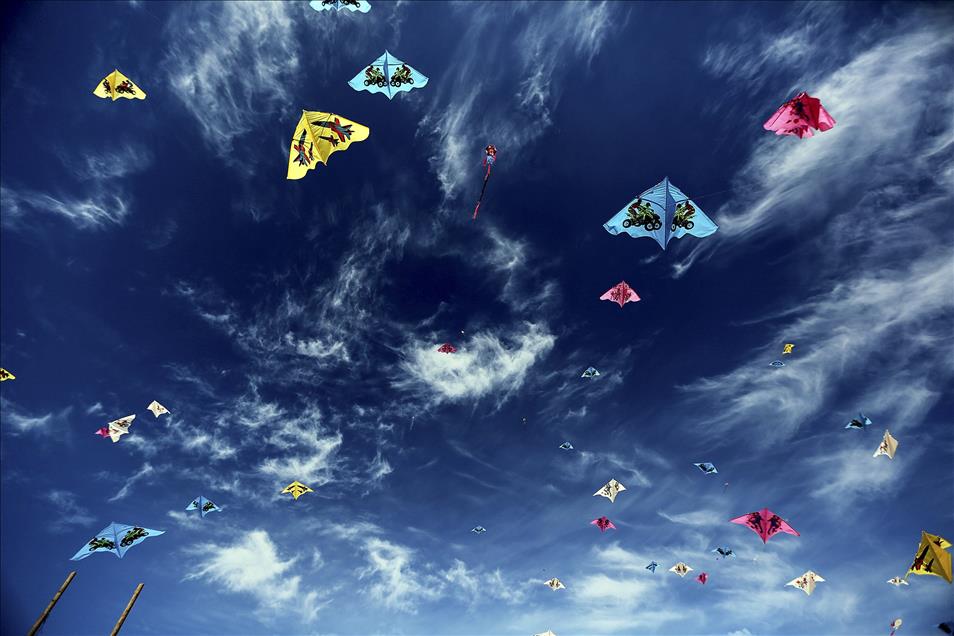 Anadolu Ajansı Gözüyle 2014