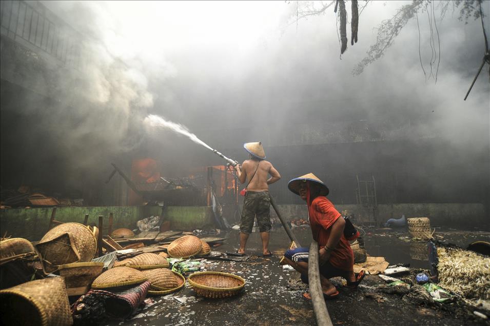 Anadolu Ajansı Gözüyle 2014