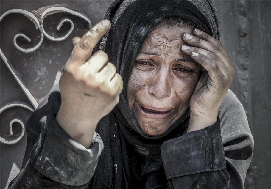 Anadolu Ajansı Gözüyle 2014