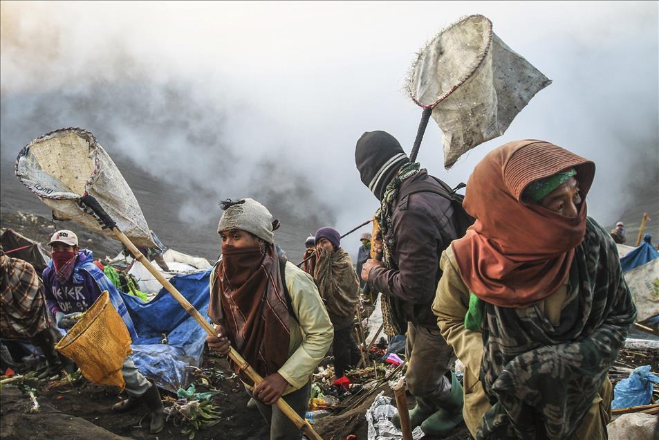Anadolu Ajansı Gözüyle 2014