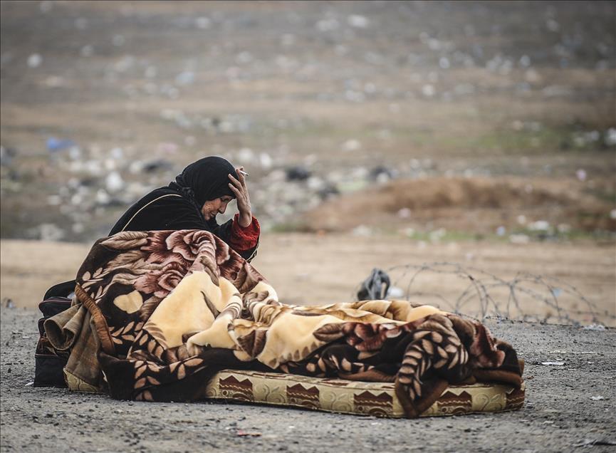 Anadolu Ajansı Gözüyle 2014