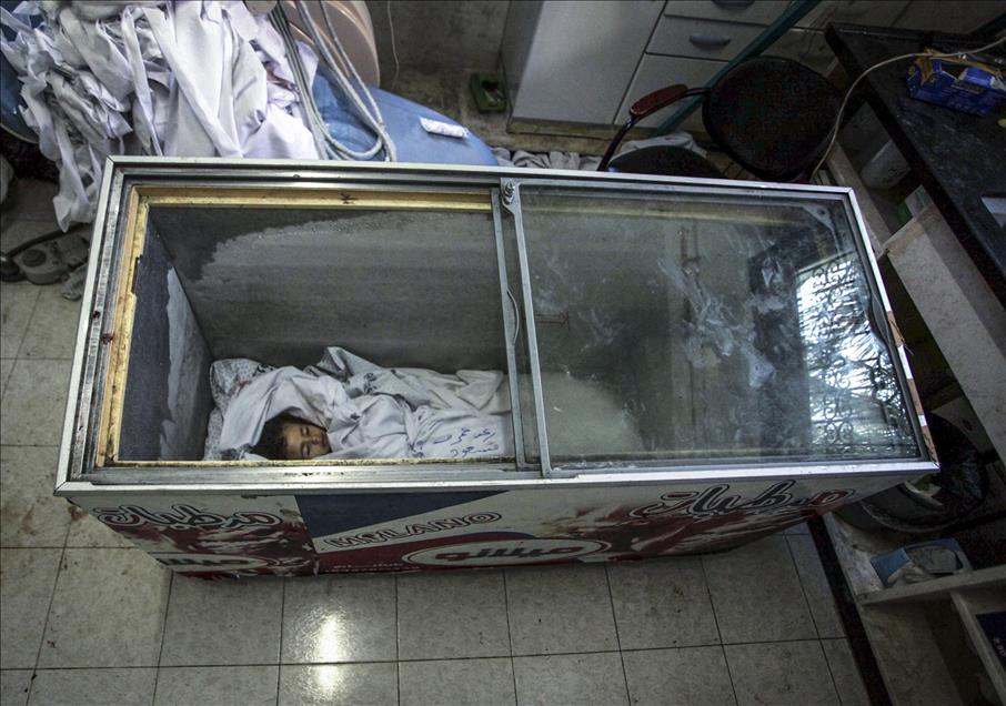 Anadolu Ajansı Gözüyle 2014