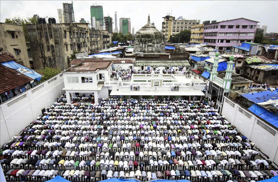 Anadolu Ajansı Gözüyle 2014