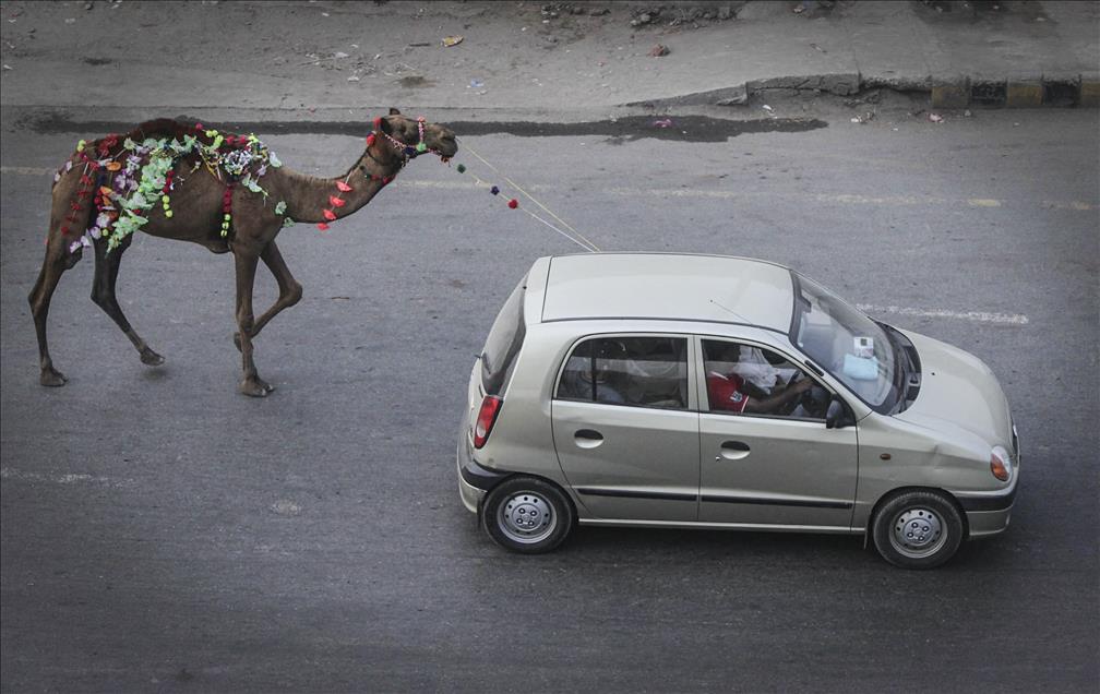 Anadolu Ajansı Gözüyle 2014