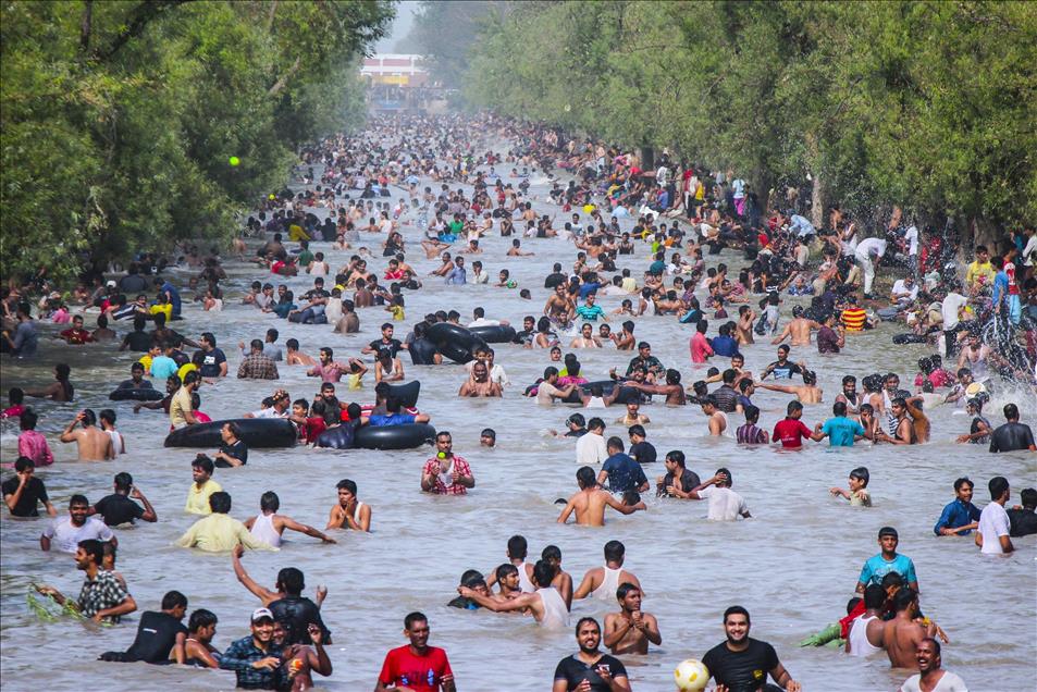 Anadolu Ajansı Gözüyle 2014