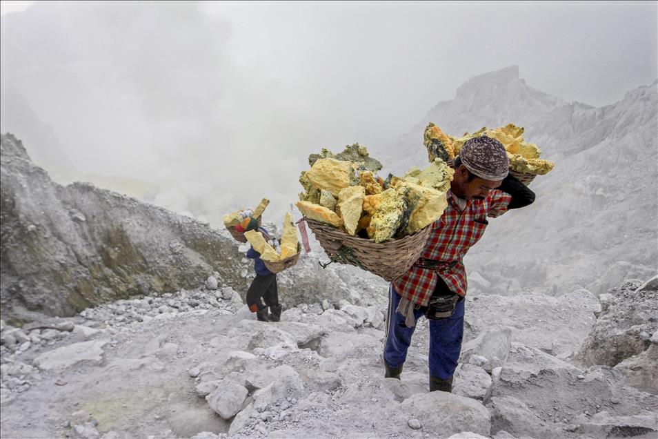 Anadolu Ajansı Gözüyle 2014