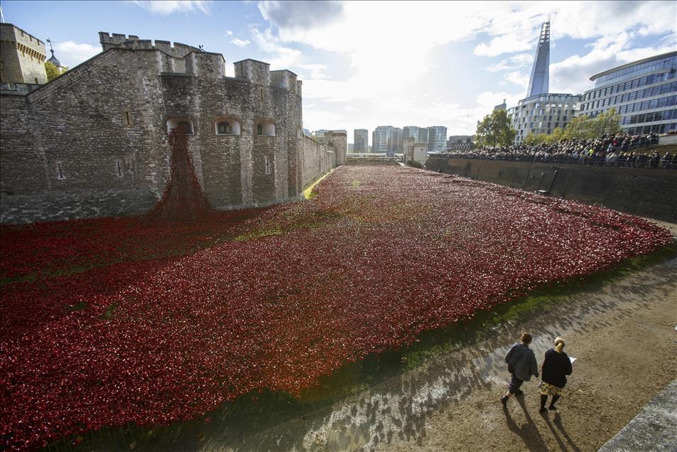 Anadolu Ajansı Gözüyle 2014