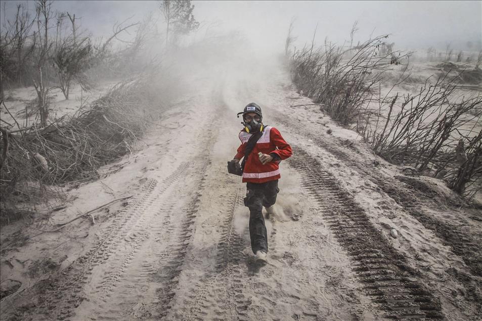 Anadolu Ajansı Gözüyle 2014