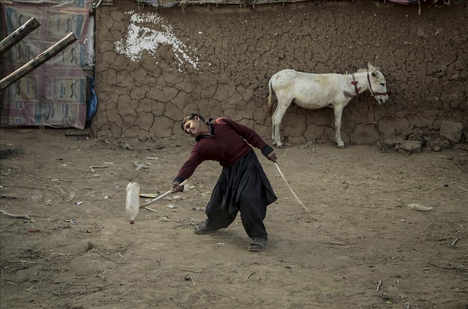 Anadolu Ajansı Gözüyle 2014