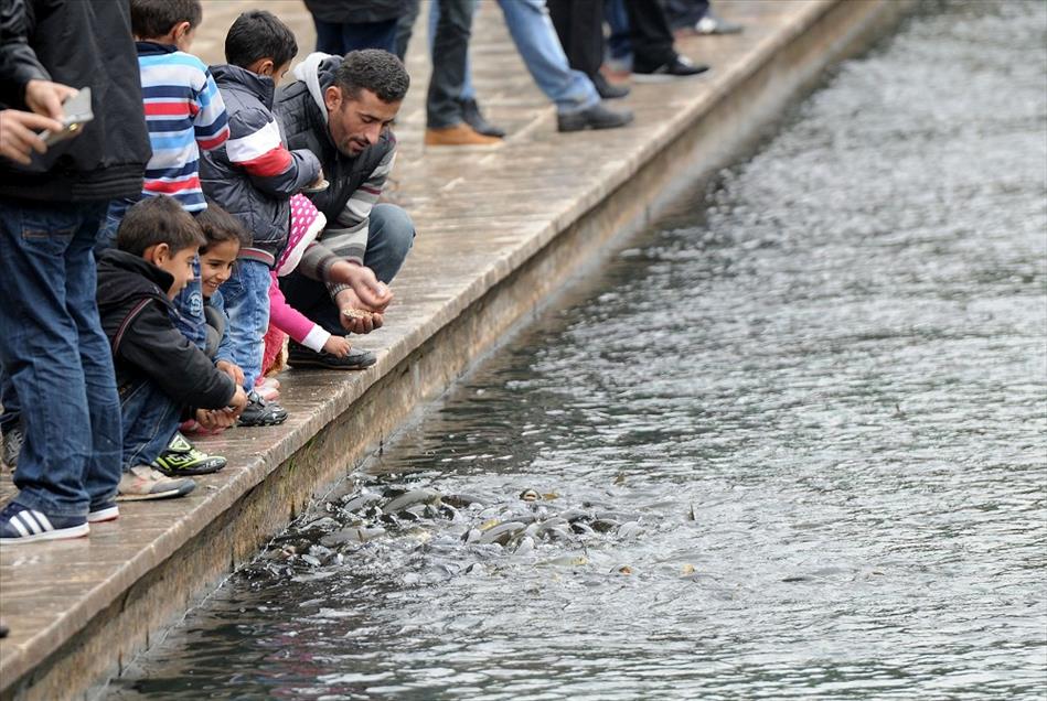 Balıklıgöl kışın bir başka güzel