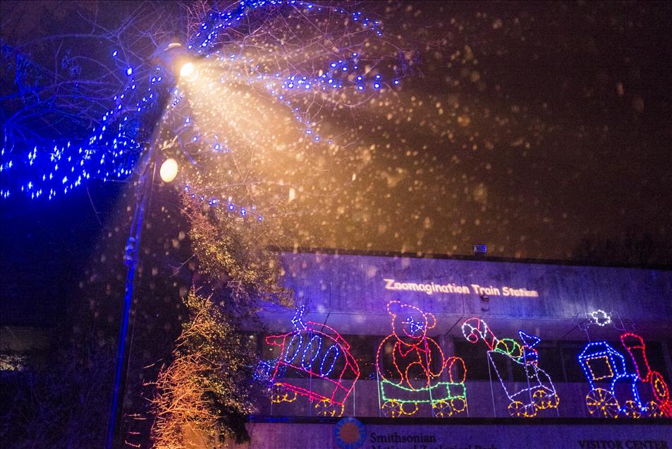 Nation Zoo Lights in Washington