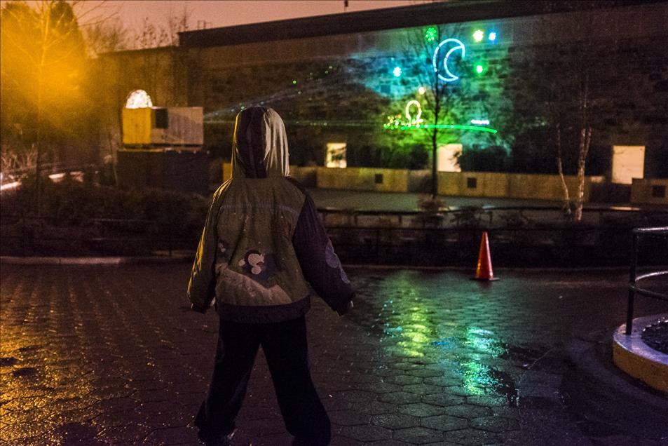 Nation Zoo Lights in Washington
