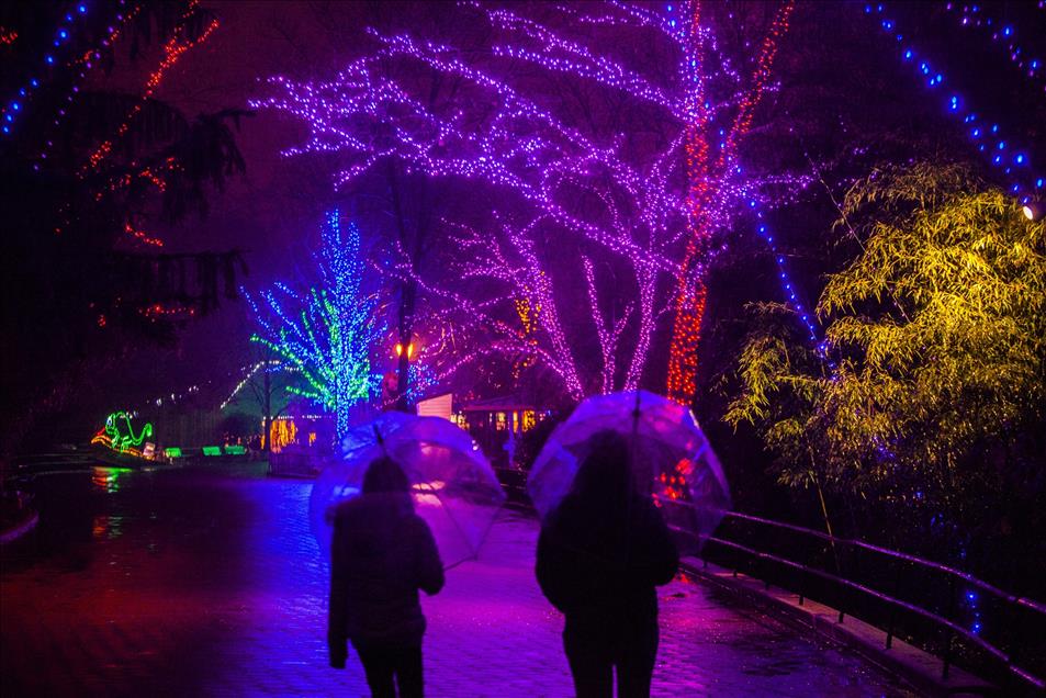 Nation Zoo Lights in Washington