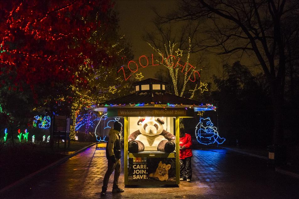 Nation Zoo Lights in Washington